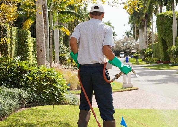 About Leominster MA Pest Control Pros
